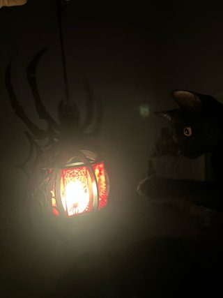 Lámpara Colgante Araña 3D Halloween