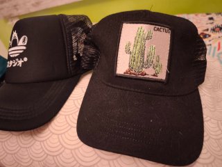 Lote de 6 Gorras Variadas
