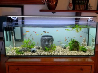 Luz LED Acuario 120 cm