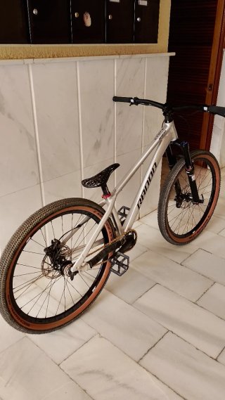 Bicicleta Dirt Jump