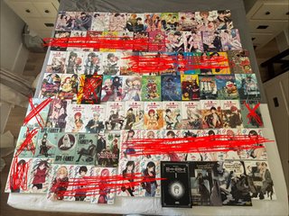 Lote manga