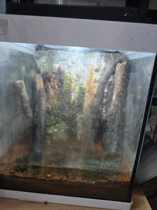 Acuario con troncos y rocas