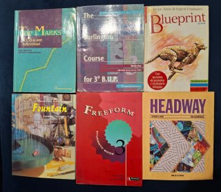Lote libros de texto inglés