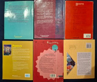 Lote libros de texto inglés