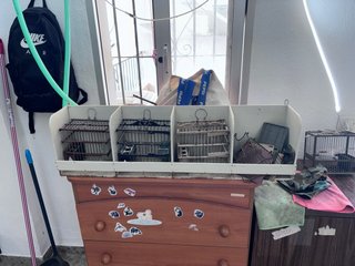 Casilleros para jaulas de percha