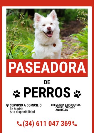 Paseadora de perros