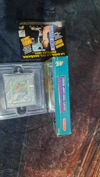 Bart Simpson's Escape from Camp Deadly Game Boy