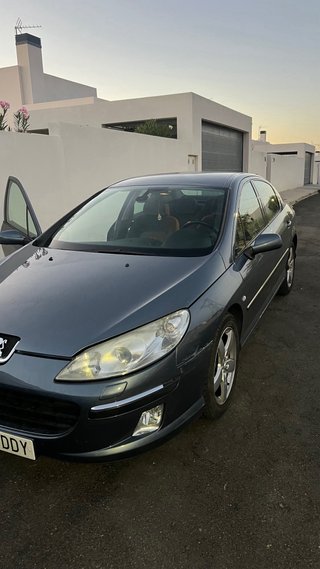 Peugeot 407 2004