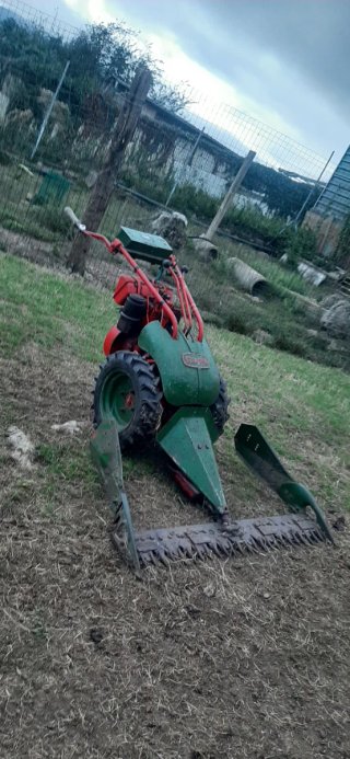 Segadora Rapid Rex