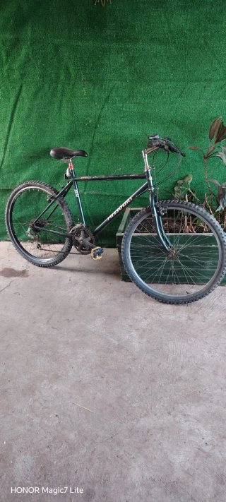 Bicicleta BH Montaña