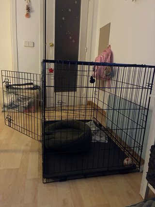 Jaula para perros