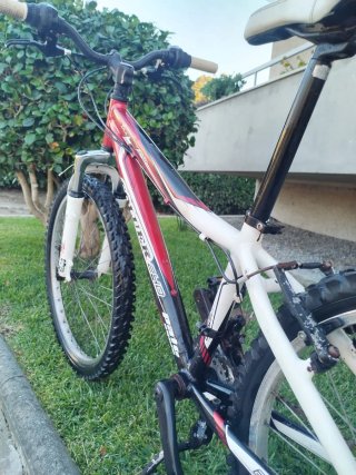 Bicicleta Coluer Randy 240 Aro 24 Alumínio
