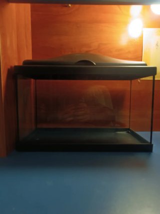 Acuario/Terrario Negro para Mascotas