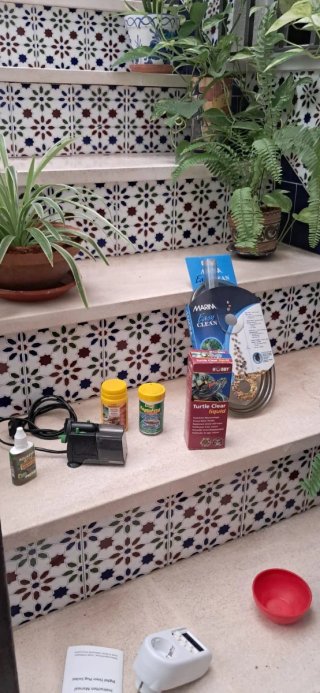 Terrario con accesorios