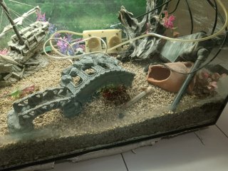 Acuario 200L