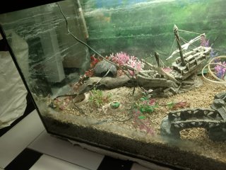 Acuario 200L