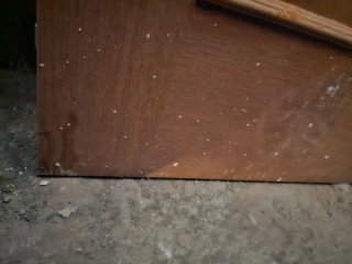 Puerta de madera para baño