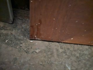 Puerta de madera para baño