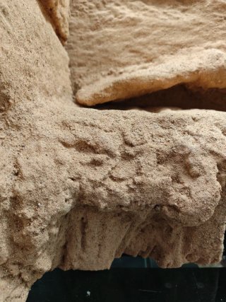 Fondo 3D Terrario Beige/Marrón