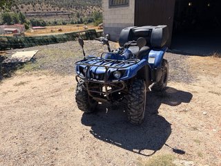 Yamaha Bruin 350 - Funciona Perfectamente