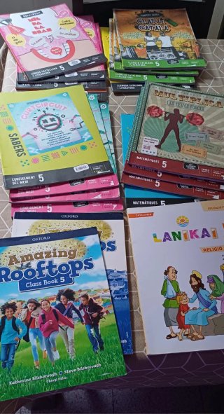 Lote libros de texto Quinto Primaria Ana Mogas