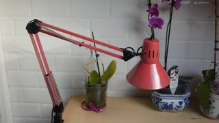 Flexo Vintage Rojo