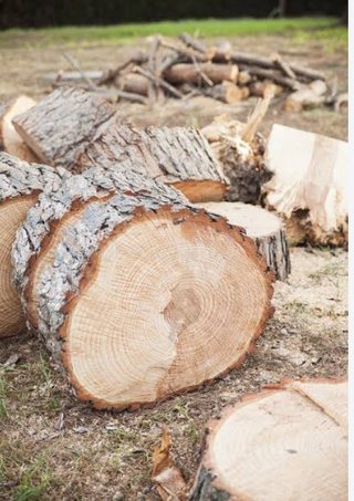 Leña de Pino - Troncos para Chimenea
