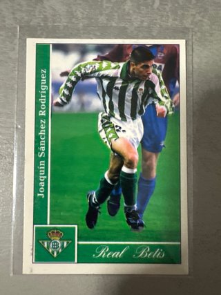 Colección de fichas de la Liga 2002 - Mundicromos