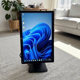 Monitor HP Girevole 20 pollici