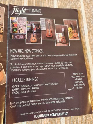 Ukelele púrpura Flight