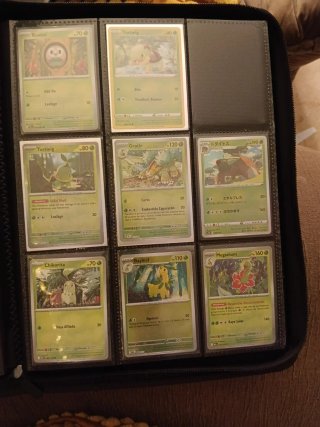 Cartas Pokémon meganium, chikorita...