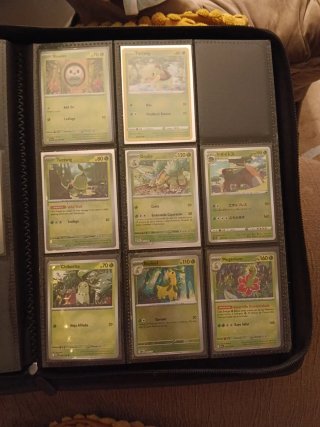 Cartas Pokémon meganium, chikorita...