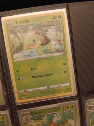 Cartas Pokémon meganium, chikorita...