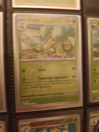 Cartas Pokémon meganium, chikorita...