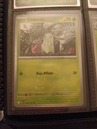 Cartas Pokémon meganium, chikorita...