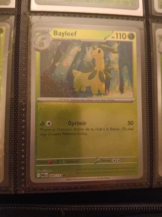 Cartas Pokémon meganium, chikorita...