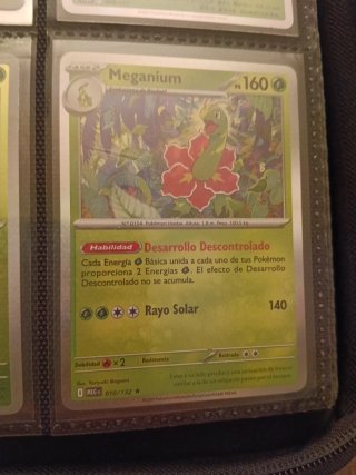 Cartas Pokémon meganium, chikorita...