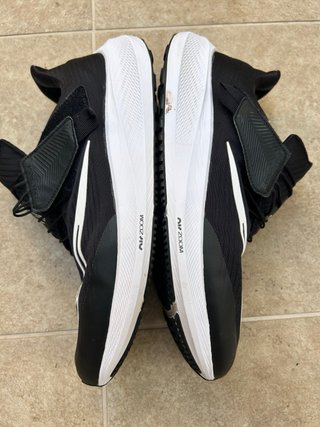 Nike Zoom Pegasus Flyease