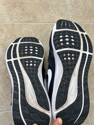 Nike Zoom Pegasus Flyease