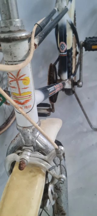 Bicicleta bmx Torrot Dakar