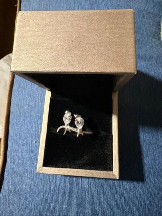Anillo Plata y Circonitas