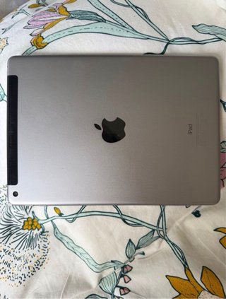iPad Apple Plata