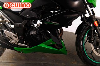 KAWASAKI Z 300