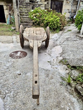 Carro de vacas antiguo de madera