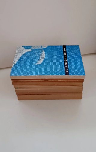 Lote 7 libros colección Austral