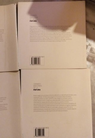 Lote 5 Libros Grandes Maestros Pintura Público