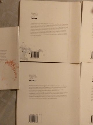 Lote 5 Libros Grandes Maestros Pintura Público