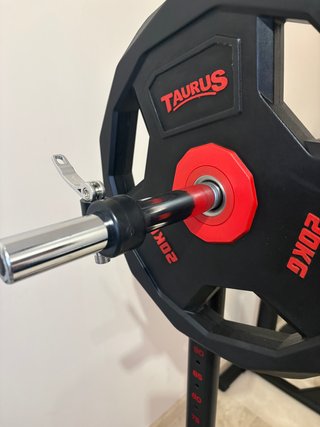 Attrezzatura da palestra con rack, barra e dischi