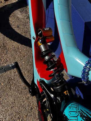 Bicicleta Downhill Specialized
