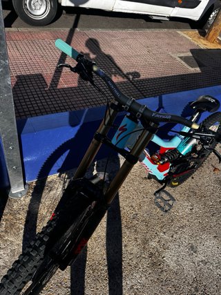 Bicicleta Downhill Specialized